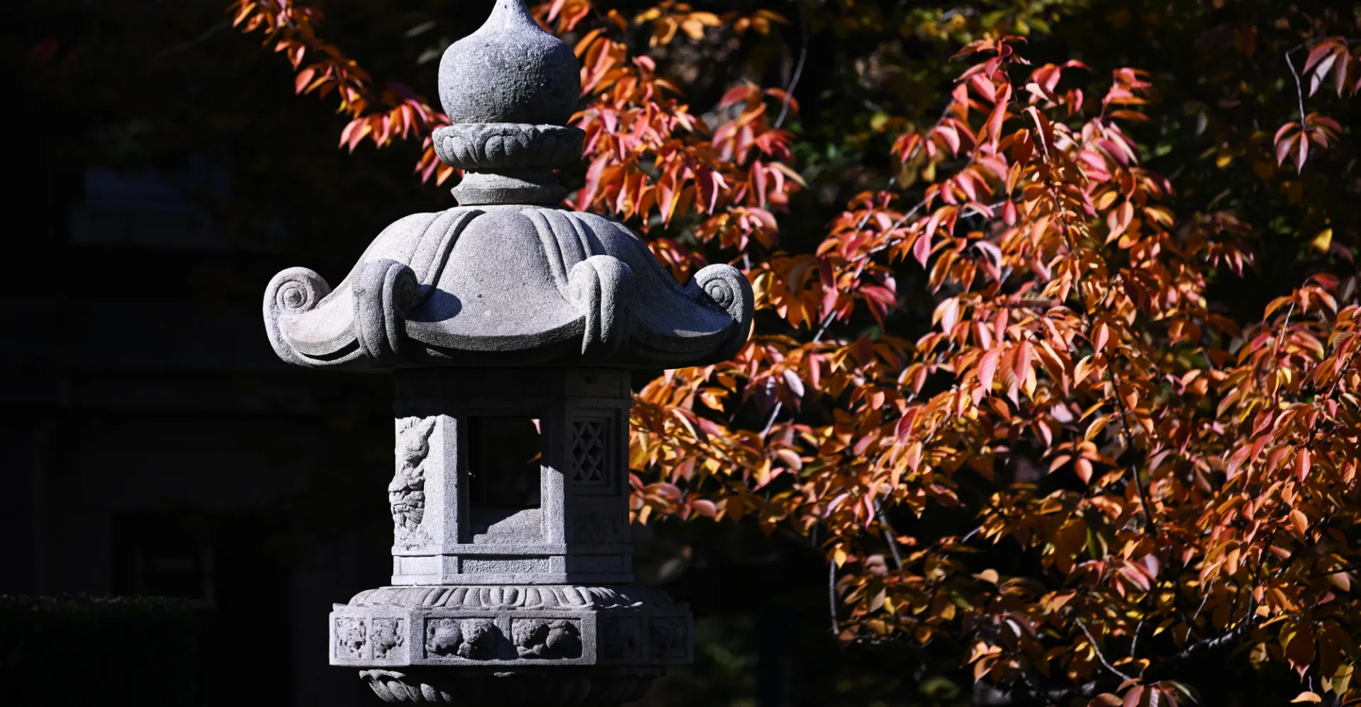 Fall